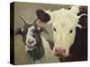 Farm Pals I-Carolyne Hawley-Stretched Canvas