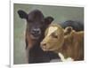 Farm Pals II-Carolyne Hawley-Framed Art Print