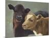 Farm Pals II-Carolyne Hawley-Mounted Art Print