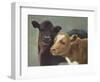 Farm Pals II-Carolyne Hawley-Framed Art Print