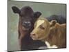 Farm Pals II-Carolyne Hawley-Mounted Art Print