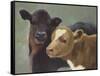 Farm Pals II-Carolyne Hawley-Framed Stretched Canvas