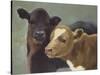 Farm Pals II-Carolyne Hawley-Stretched Canvas