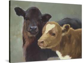 Farm Pals II-Carolyne Hawley-Stretched Canvas