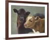 Farm Pals II-Carolyne Hawley-Framed Art Print