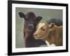 Farm Pals II-Carolyne Hawley-Framed Art Print