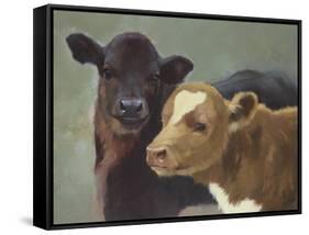 Farm Pals II-Carolyne Hawley-Framed Stretched Canvas
