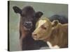 Farm Pals II-Carolyne Hawley-Stretched Canvas