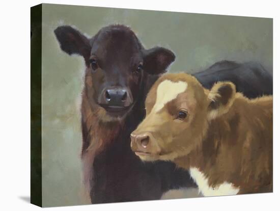 Farm Pals II-Carolyne Hawley-Stretched Canvas