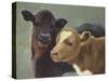 Farm Pals II-Carolyne Hawley-Stretched Canvas