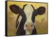 Farm Pals III-Carolyne Hawley-Framed Stretched Canvas