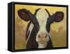 Farm Pals III-Carolyne Hawley-Framed Stretched Canvas
