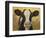 Farm Pals III-Carolyne Hawley-Framed Art Print