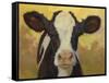 Farm Pals III-Carolyne Hawley-Framed Stretched Canvas