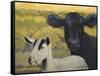 Farm Pals IV-Carolyne Hawley-Framed Stretched Canvas