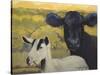Farm Pals IV-Carolyne Hawley-Stretched Canvas
