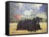 Farm Pals V-Carolyne Hawley-Framed Stretched Canvas