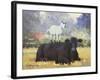 Farm Pals V-Carolyne Hawley-Framed Art Print