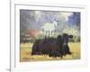 Farm Pals V-Carolyne Hawley-Framed Art Print