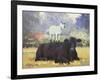 Farm Pals V-Carolyne Hawley-Framed Art Print