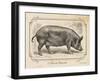 Farm Pig I-Gwendolyn Babbitt-Framed Art Print