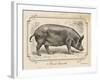 Farm Pig I-Gwendolyn Babbitt-Framed Art Print