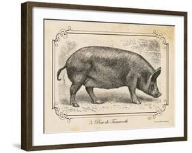 Farm Pig I-Gwendolyn Babbitt-Framed Art Print