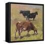 Farm Raised II-Jeri Ireland-Framed Stretched Canvas