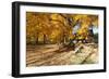 Farm Road Autumn Scenic, New Jersey-George Oze-Framed Photographic Print