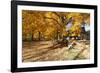 Farm Road Autumn Scenic, New Jersey-George Oze-Framed Photographic Print