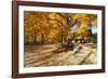 Farm Road Autumn Scenic, New Jersey-George Oze-Framed Photographic Print