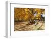 Farm Road Autumn Scenic, New Jersey-George Oze-Framed Photographic Print