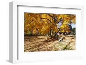 Farm Road Autumn Scenic, New Jersey-George Oze-Framed Photographic Print