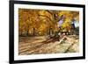 Farm Road Autumn Scenic, New Jersey-George Oze-Framed Photographic Print