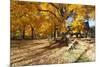 Farm Road Autumn Scenic, New Jersey-George Oze-Mounted Photographic Print