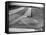 Farm Scene of Tractor in Ploughed Field-Alfred Eisenstaedt-Framed Stretched Canvas