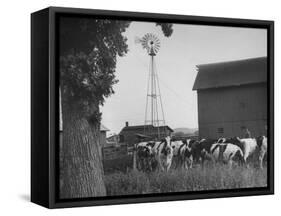 Farm Scenes of Farm Life in the Midwest-null-Framed Stretched Canvas