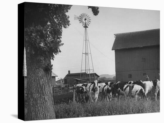 Farm Scenes of Farm Life in the Midwest-null-Stretched Canvas