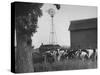 Farm Scenes of Farm Life in the Midwest-null-Stretched Canvas