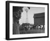 Farm Scenes of Farm Life in the Midwest-null-Framed Photographic Print