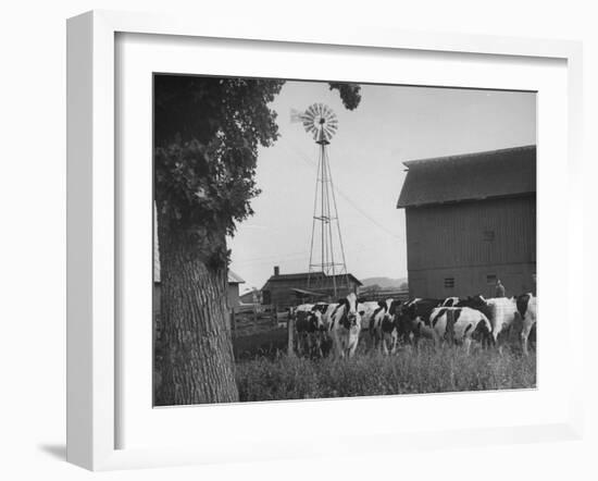 Farm Scenes of Farm Life in the Midwest-null-Framed Photographic Print