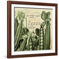 Farm - Seed 1-The Saturday Evening Post-Framed Giclee Print