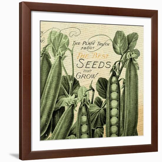 Farm - Seed 1-The Saturday Evening Post-Framed Giclee Print