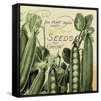 Farm - Seed 1-The Saturday Evening Post-Framed Stretched Canvas