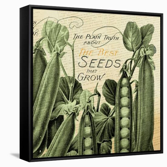 Farm - Seed 1-The Saturday Evening Post-Framed Stretched Canvas