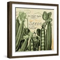 Farm - Seed 1-The Saturday Evening Post-Framed Giclee Print