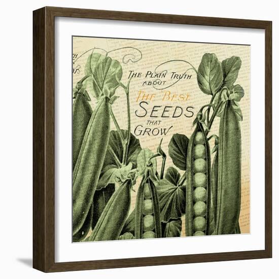 Farm - Seed 1-The Saturday Evening Post-Framed Giclee Print