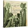 Farm - Seed 1-The Saturday Evening Post-Stretched Canvas