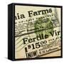 Farm - Seed 4-The Saturday Evening Post-Framed Stretched Canvas
