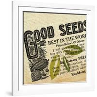 Farm - Seed 6-The Saturday Evening Post-Framed Giclee Print